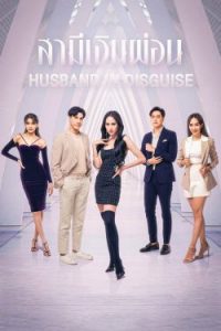 ดูซีรี่ย์ไทย Husband in Disguise (2022) สามีเงินผ่อน [พากย์ไทย]