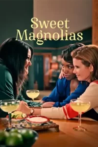 Sweet Magnolias Season 3 (2023)