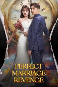 Perfect Marriage Revenge วิวาห์ลวง ชวนให้รัก