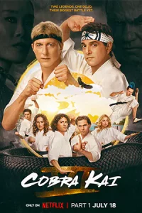 Cobra Kai (2024) คอบร้า ไค Season 6