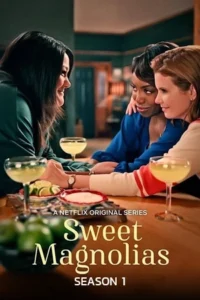 Sweet Magnolias สวีท แมกโนเลีย หวาน กร้าว แกร่ง (2020) season 1