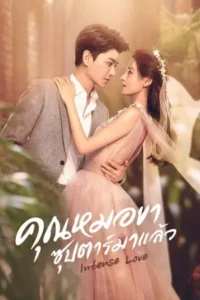 Intense Love (2020) คุณหมอขา ซุปตาร์มาแล้ว